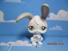 PETSHOP  LAPIN DE GARENNE N°211