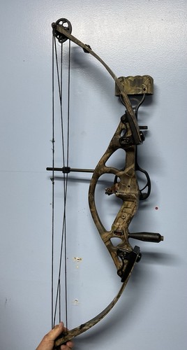Hoyt intruder sport - mt,