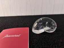 Nautile coquillage clair en