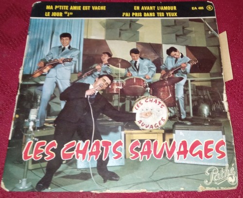 Les chats sauvages avec - chats, dick