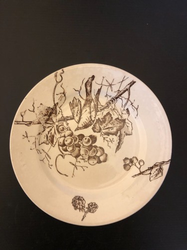Assiette décor oiseau sur - décor,