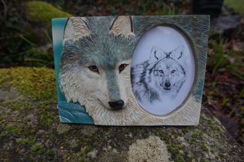 Mo0188 superbe cadre loup - mo0188,