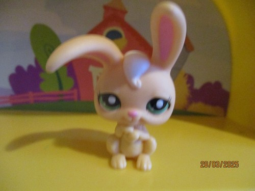 Petshop lapin garenne 1425 - petshop,