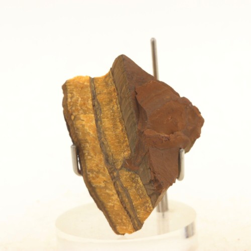 Tiger eye 138 0 - eye., ct