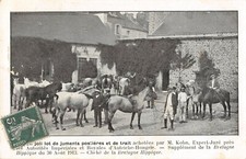 CPA 29 BRETAGNE HIPPIQUE UN JOLI LOT DE JUMENTS POSTIERES Mr kohn expert juré