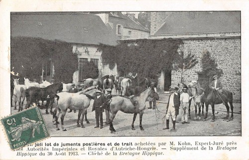 Cpa bretagne hippique un - cpa,