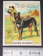CHROME 1936 CAFES GILBERT DOG BREEDS SHEPHERD BRIARD BEAUCERON DOGS DOGS