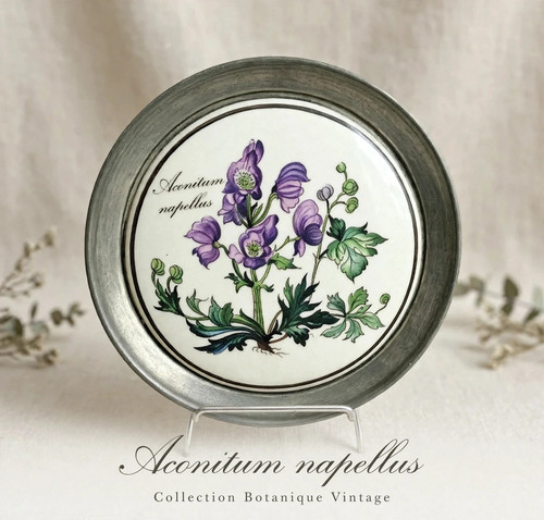 Ancienne petite assiette - petite,