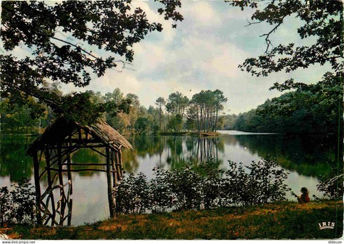 Carte postale corrèze - -,