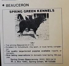 Print Ad 1989 Dog Breeder-BEAUCERON-Spring Green Kennels-Ubu-Wisconsin