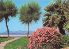6 CANNES LES JARDINS ET L