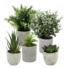 5 Pieces Plantes Artificielle, Mini Plantes artificielles Interieur