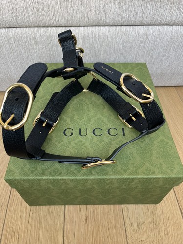 Harnais pour chien gucci - harnais,