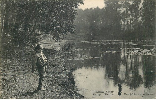 Hauts seine chaville - ,