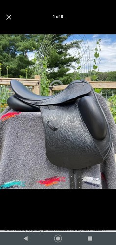 County epiphany dressage - epiphany,