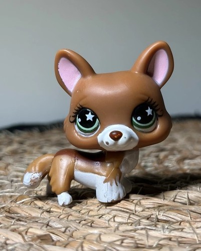 Lps littlest petshop 897 - littlest,