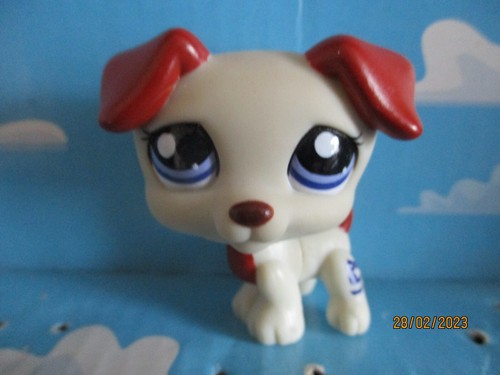 Petshop chien jack - chien,