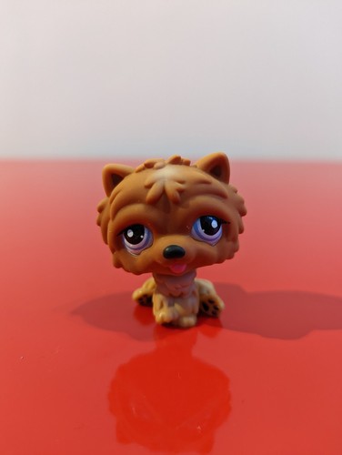 Littlest petshop chien chow - petshop, "chien