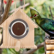  Nid de petits oiseaux pour