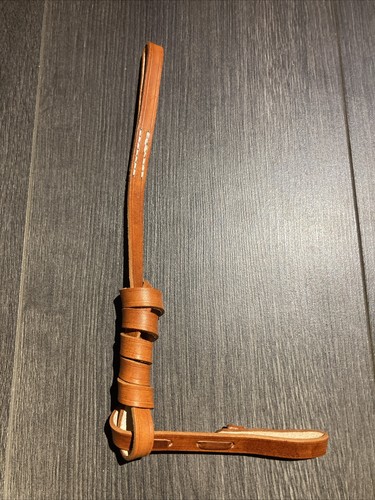 Reproduction dragonne fauve - reproduction,