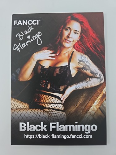 Flamant noir autographe signé - autographe,