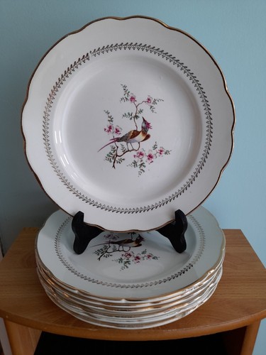 Lot 7 assiettes - 🌾lot,