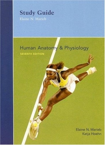Anatomie humaine - anatomie, et