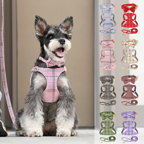 Harnais pour chien - set, collier