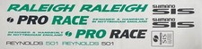 Raleigh Pro Course Ensemble