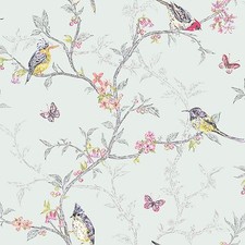 Papier Peint Phoebe Oiseaux