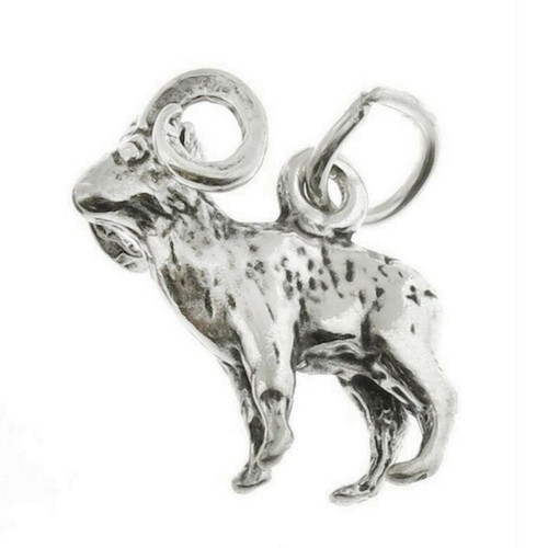 Bighorn sheep ram aries - sheep,