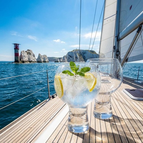 525ml verres gin à - verres,