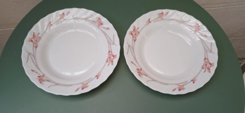 Lot deux assiètes arcopal - de,