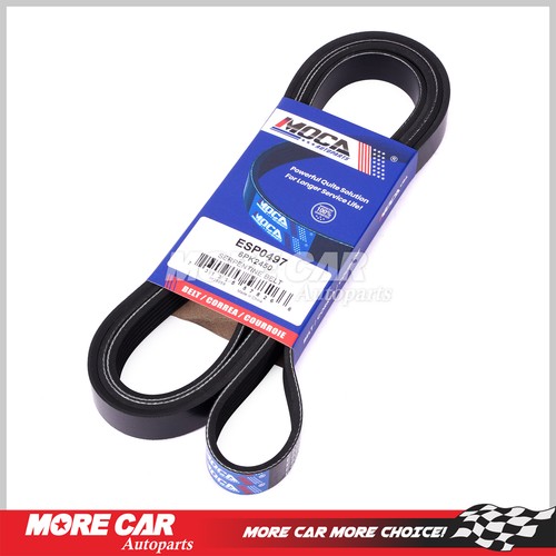 Serpentine belt 6pk2450 for - serpentine,