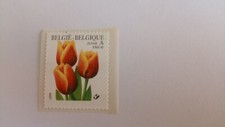 BELGIQUE THEMATIQUE FLORE 1999