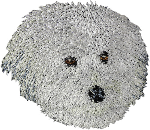 Coton tuléar un - coton,