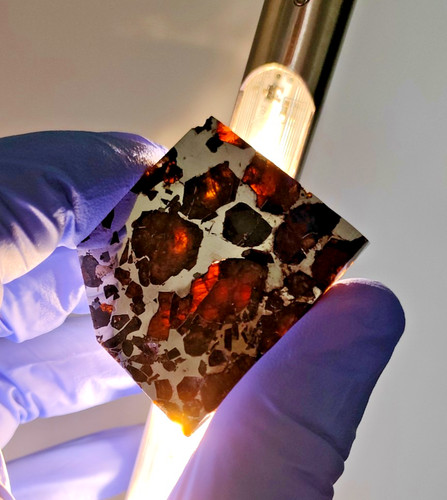 Meteorite pallasite brahin - pallasite,