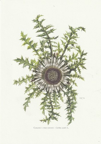 Planche 160 histoire naturelle - 160,