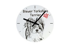 Biewer Yorkshire terrier
