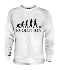 Chihuahua Évolution De Homme