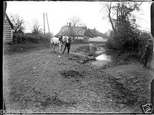 Two Horses Path Man Negative Photo Glass Photo - Year. 1910 20