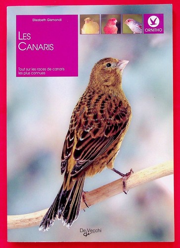 Les canaris ornithologie - canaris,