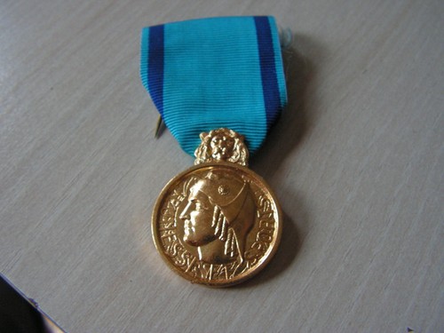 Medaille jeunesse et - de, la