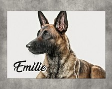 Puzzle Malinois personnalisé