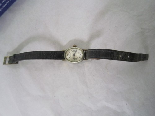 Montre raynal incabloc mvt - montre,