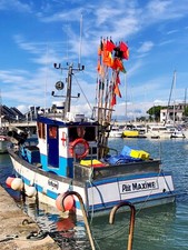 CHALUTIER: P'TIT MAXIME - 40 X