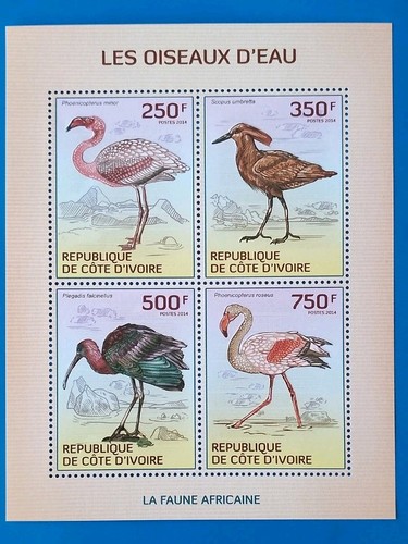 Côte ivoire valeurs les - côte, d'ivoire