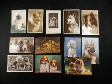 Lot of 12 Vintage Postcards Dogs Early-Mid 1900s Poodle Beagle Collie