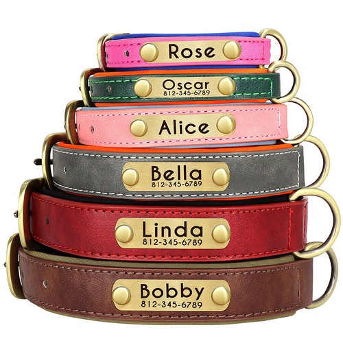 Collier pour chien - chat, en