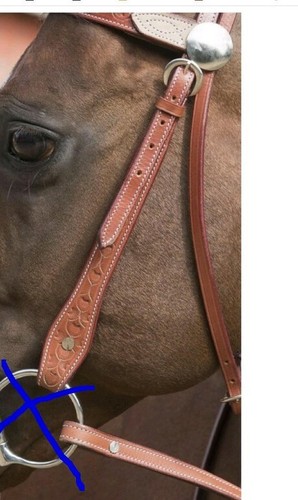 Randol cheval equitation - equitation, /